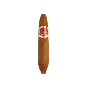 cuaba divinos sigari cubani enotabaccheria ferrulli gravina in puglia