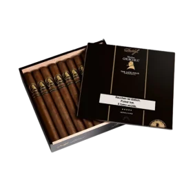 davidoff wsc the late hour sigari dominicani enotabaccheria ferrulli gravina in puglia