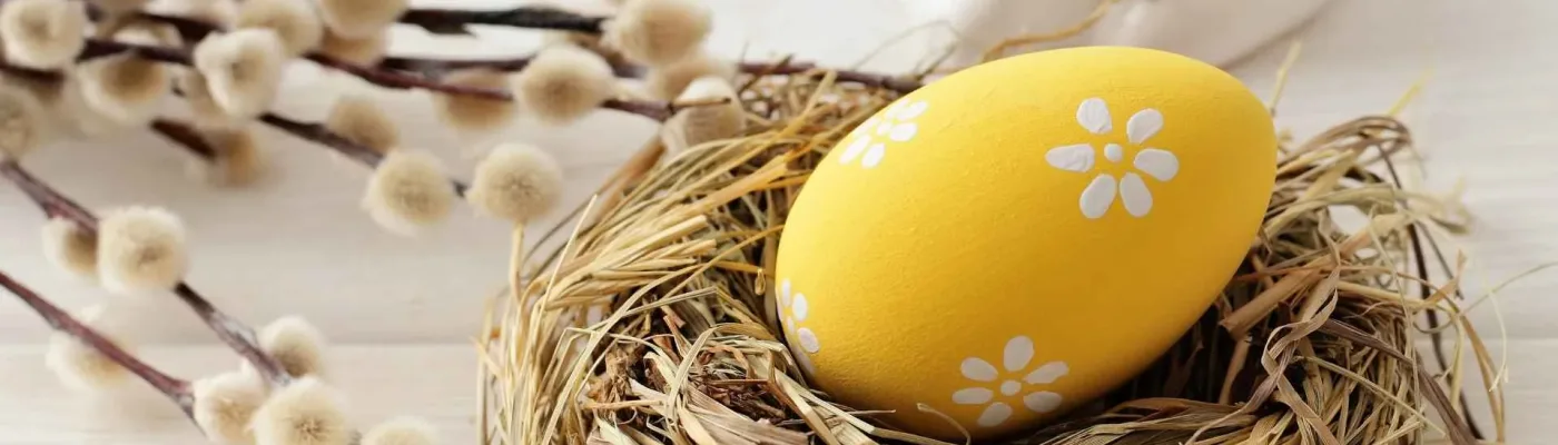 pasqua banner