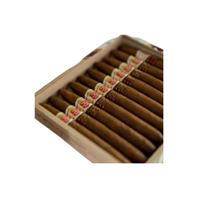 hoyo de monterrey elegantes sigari cubani enotabaccheria ferrulli gravina in puglia